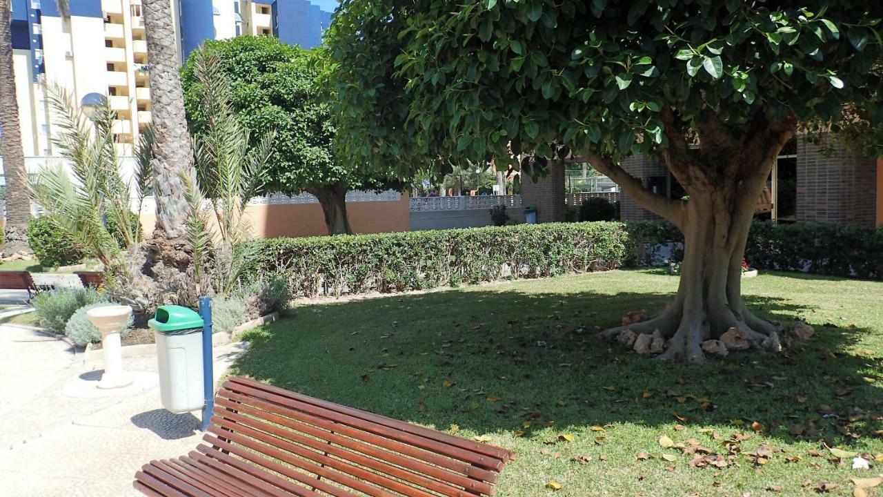 Tortuga Flat Apartament Alacant